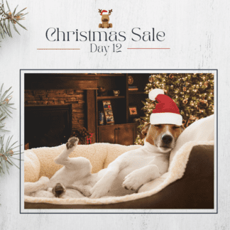 Day 12 of the 12 Days of Christmas!