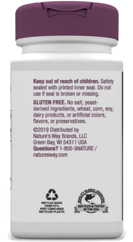 Saw Palmetto - Image 4