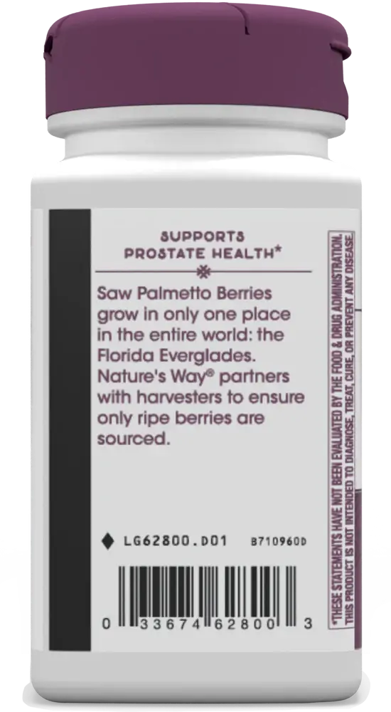 Saw Palmetto - Image 3